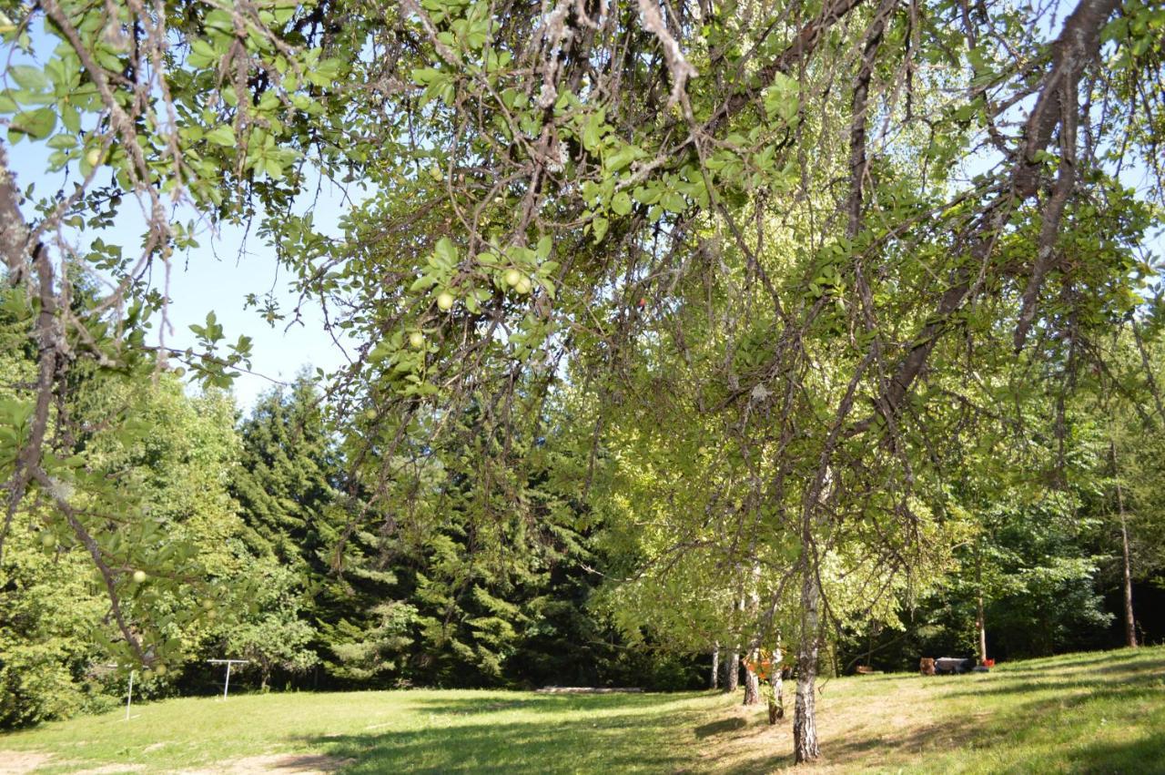جيزيرسي B&B Lady Of The Lake المظهر الخارجي الصورة